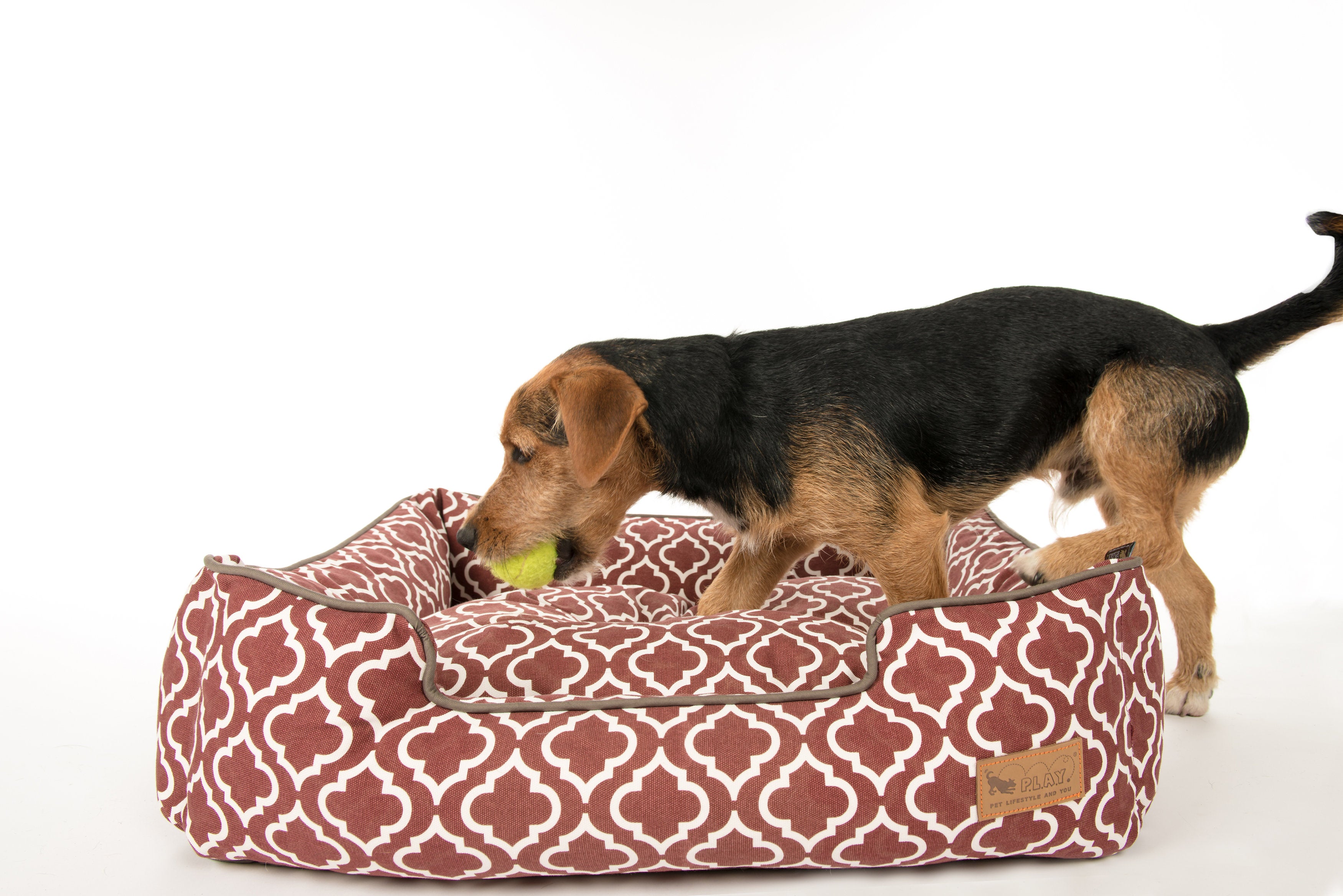 [Pre-order]Lounge Dog Bed: Moroccan Marsala