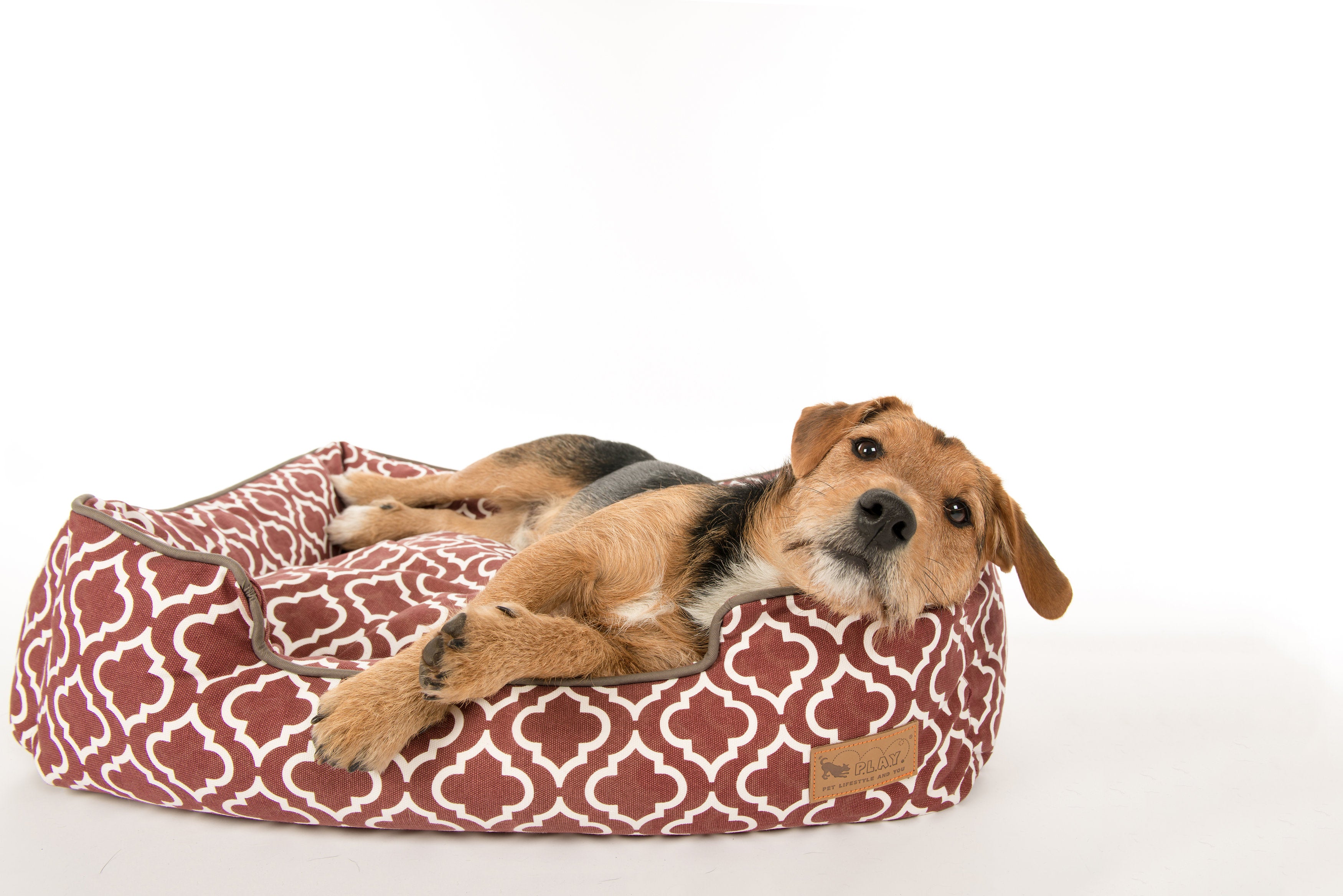 [Pre-order]Lounge Dog Bed: Moroccan Marsala