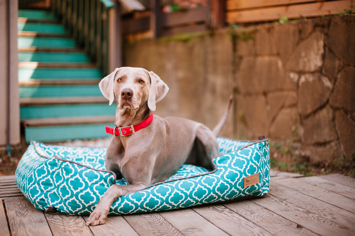 [Pre-order]Lounge Bed: Moroccan Teal