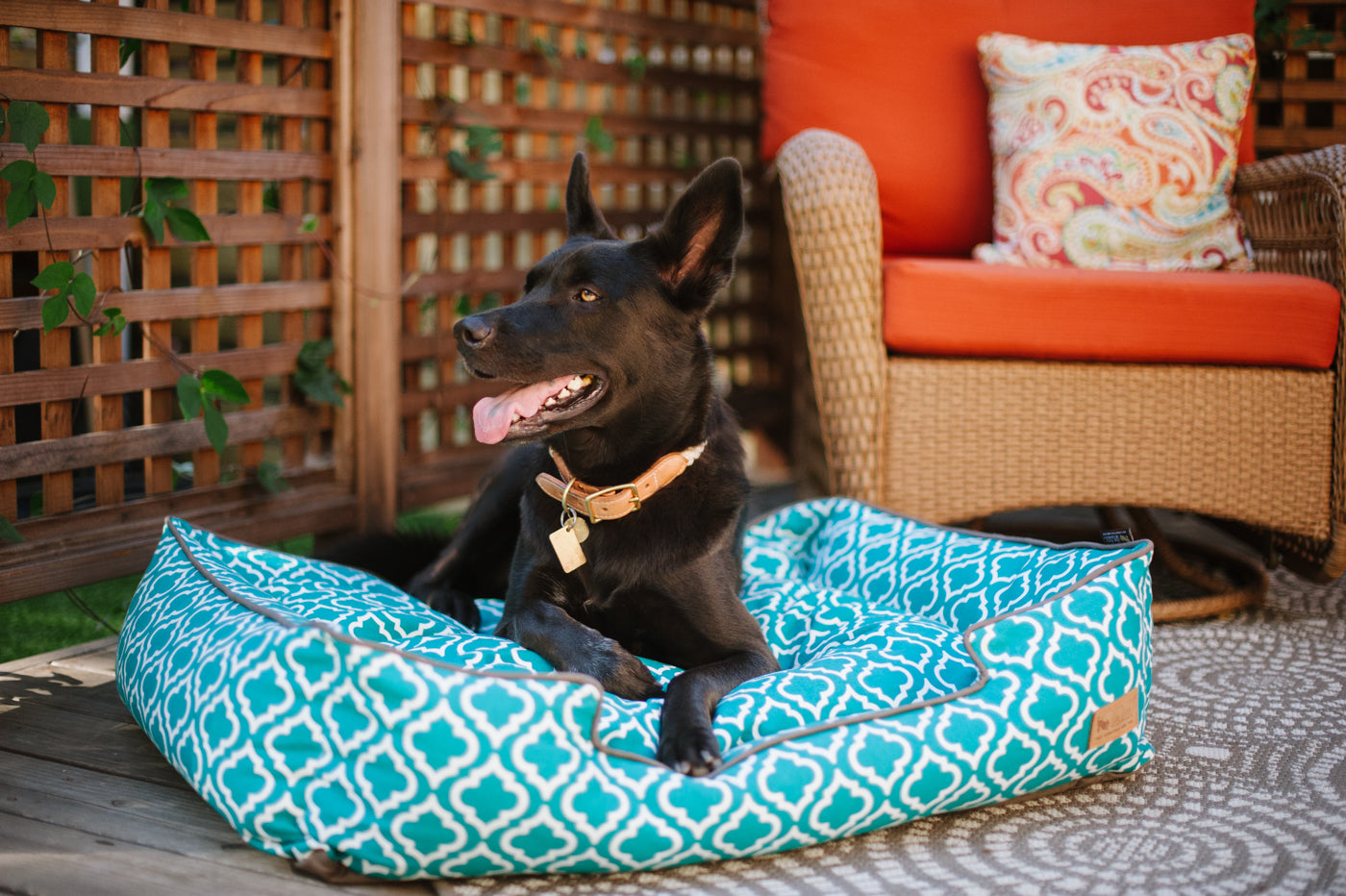 [Pre-order]Lounge Dog Bed: Moroccan Teal