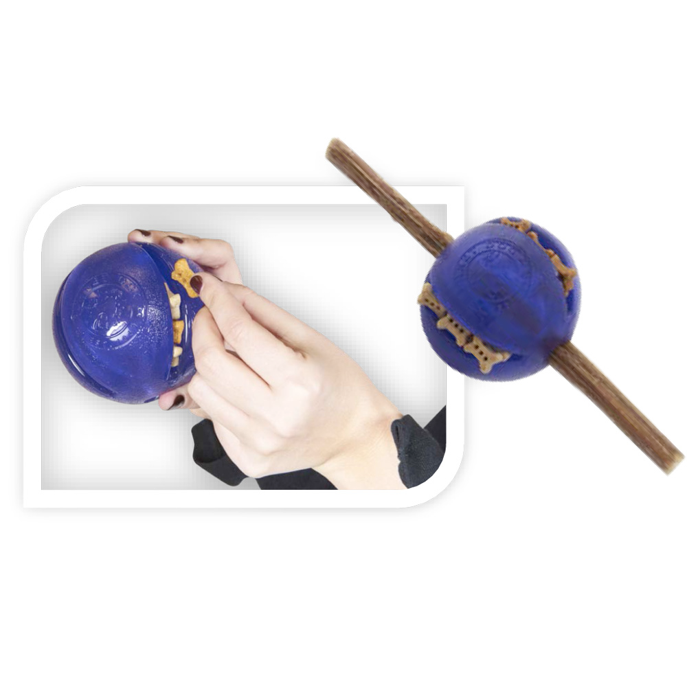 Interactive, Treat-dispensing Dog Toy, Orbee-Tuff Ball, Guru Royal Blue