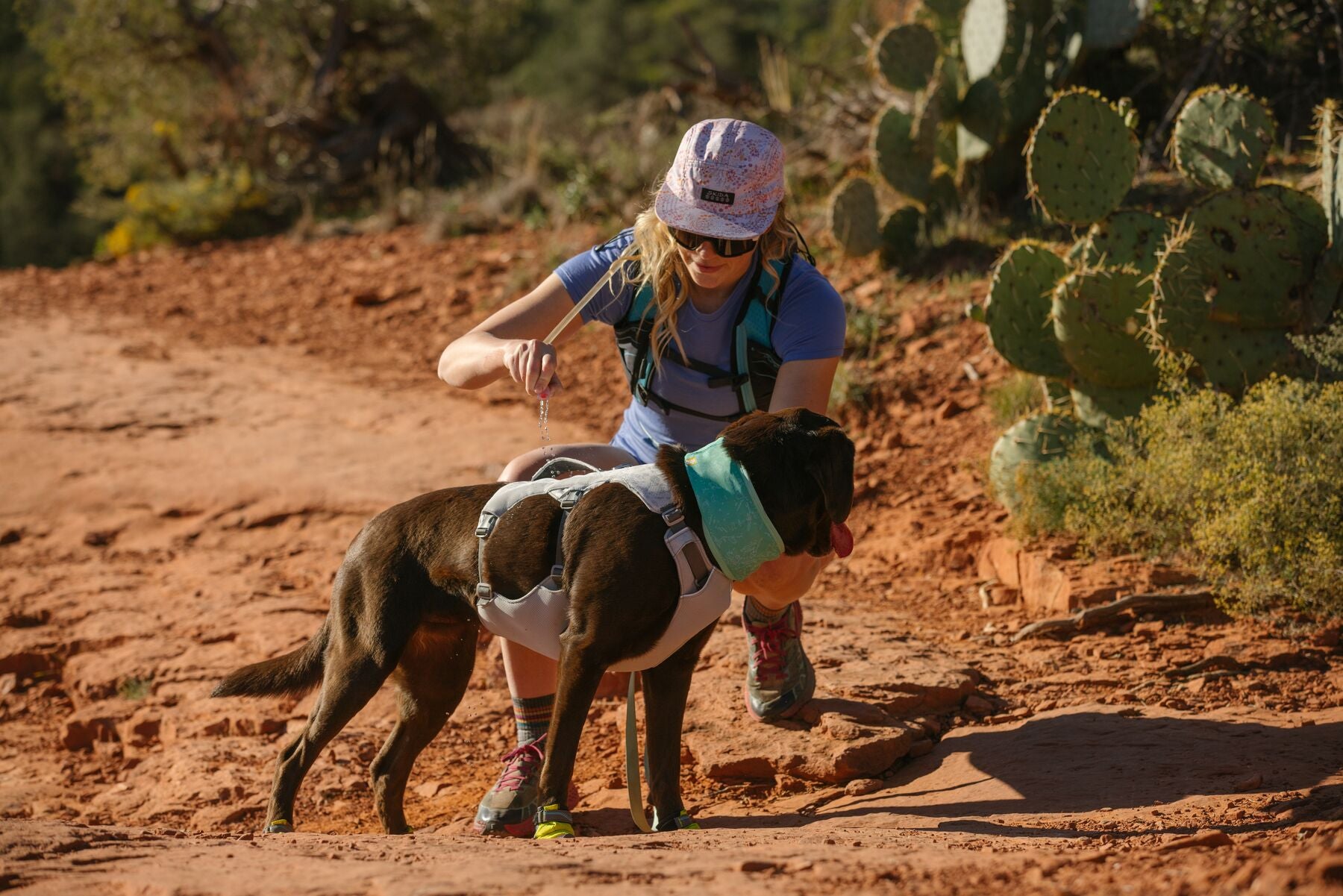 Ruffwear Dog Cooling Harness: Swamp Cooler