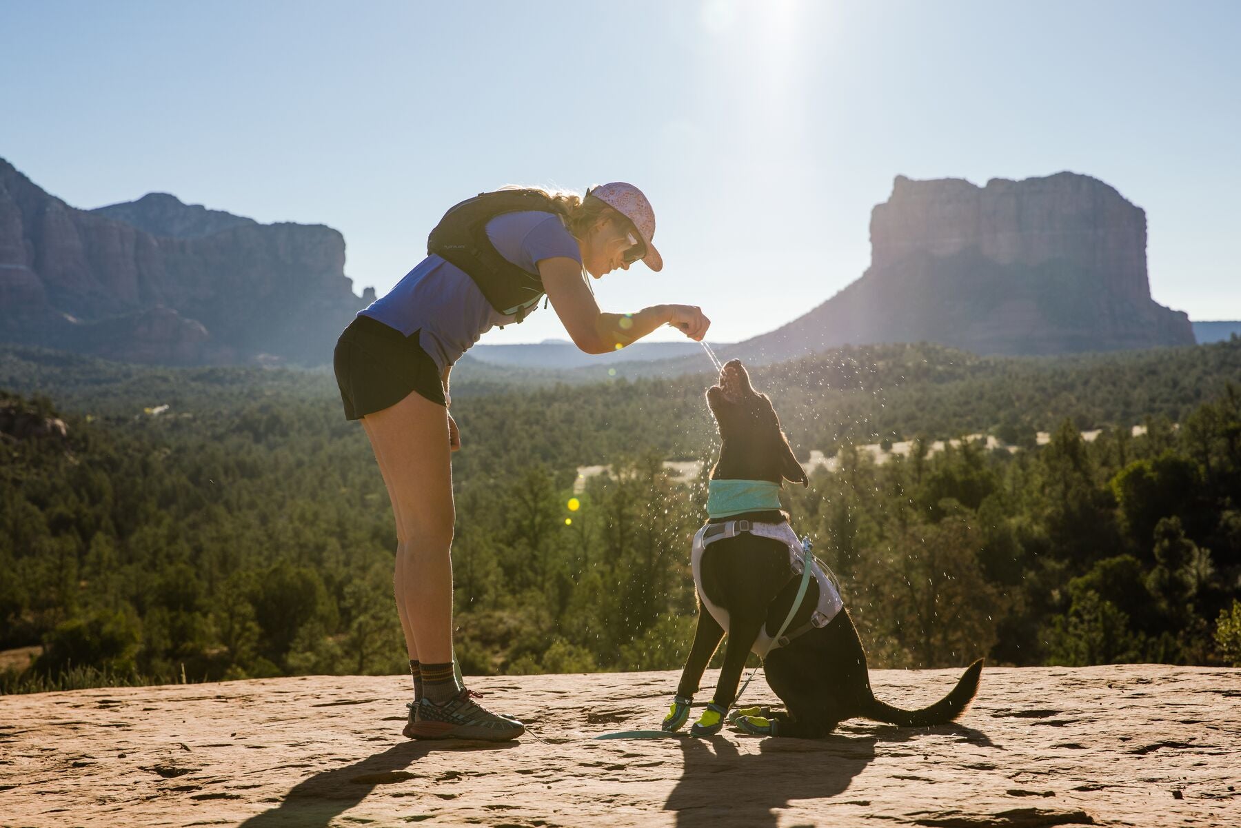 Ruffwear Dog Cooling Harness: Swamp Cooler