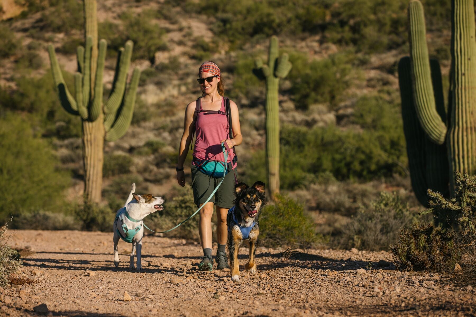 Ruffwear Dog Cooling Harness: Swamp Cooler