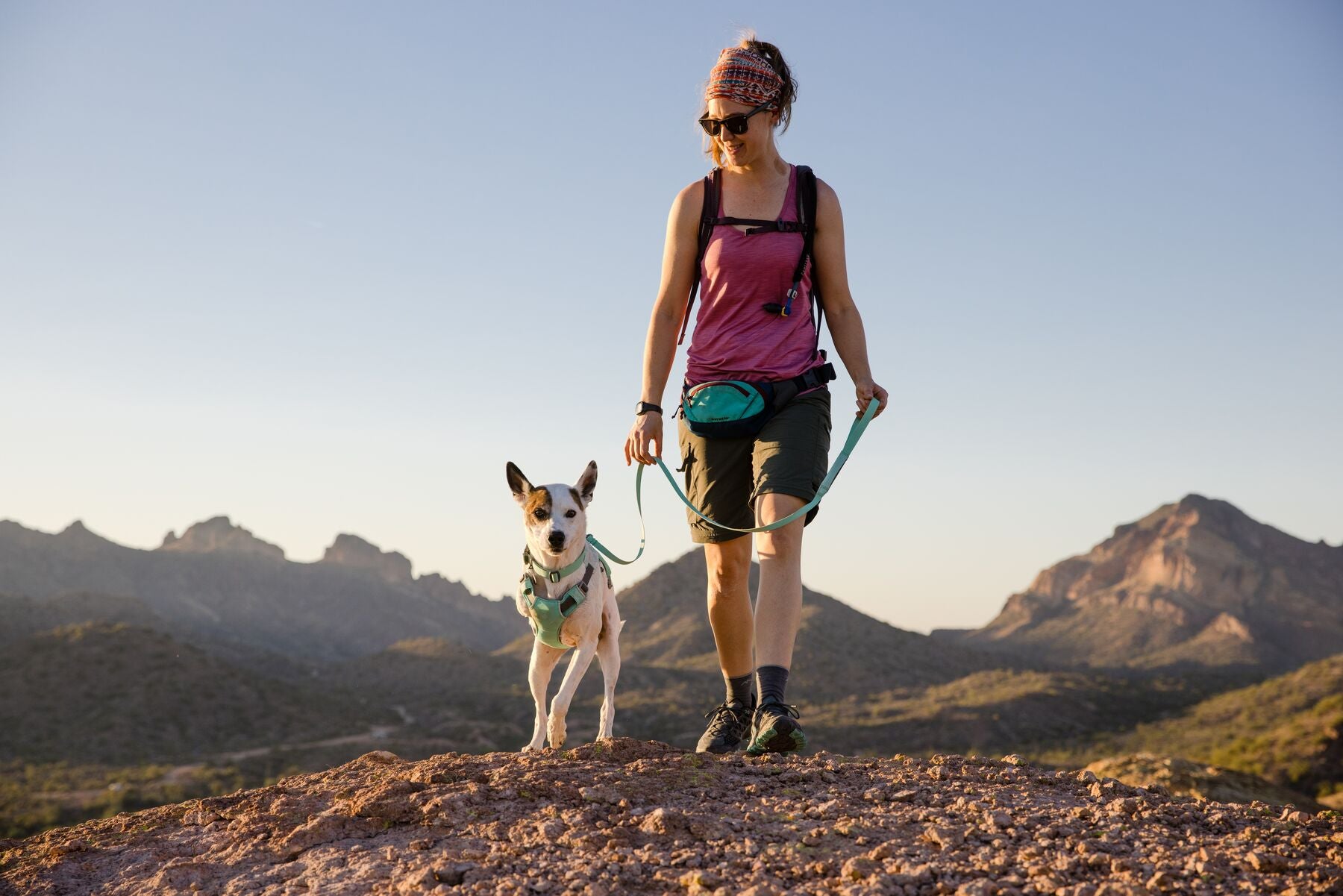 Ruffwear Dog Cooling Harness: Swamp Cooler