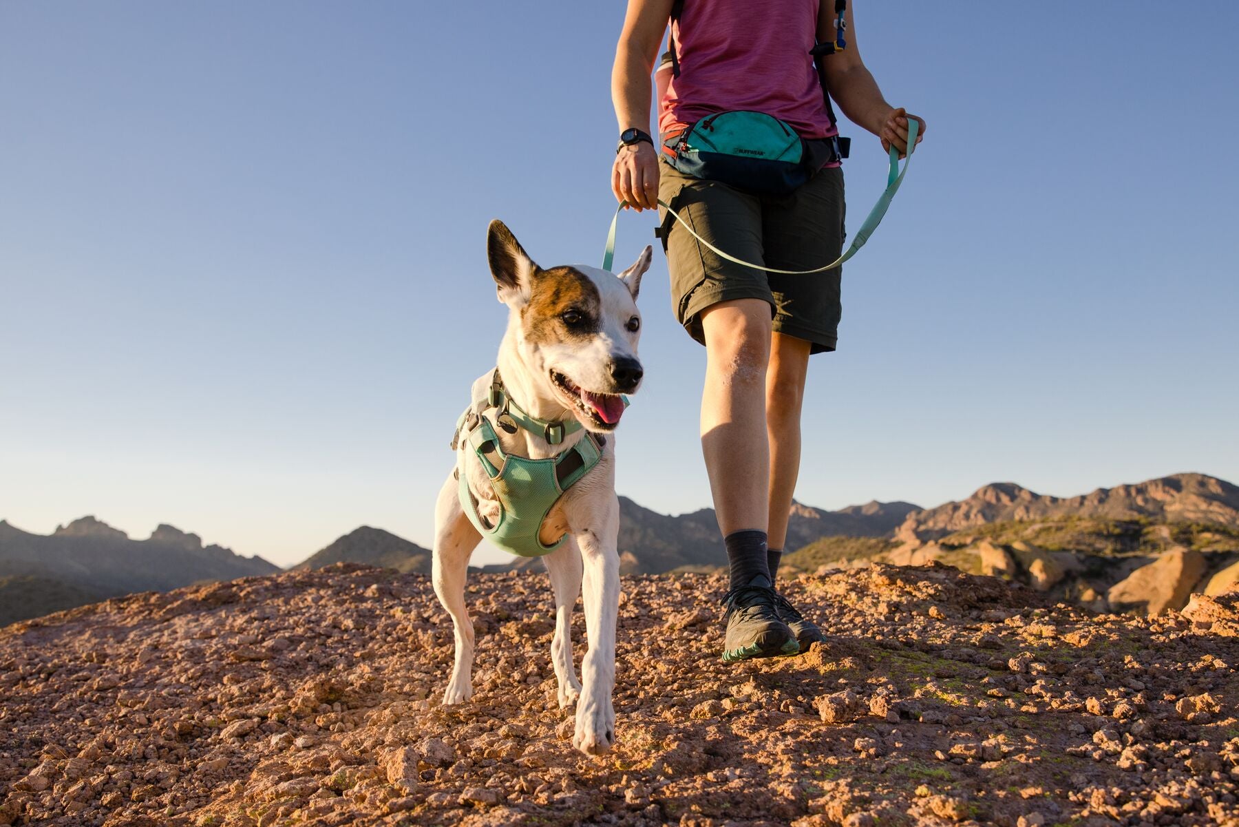 Ruffwear Dog Cooling Harness: Swamp Cooler