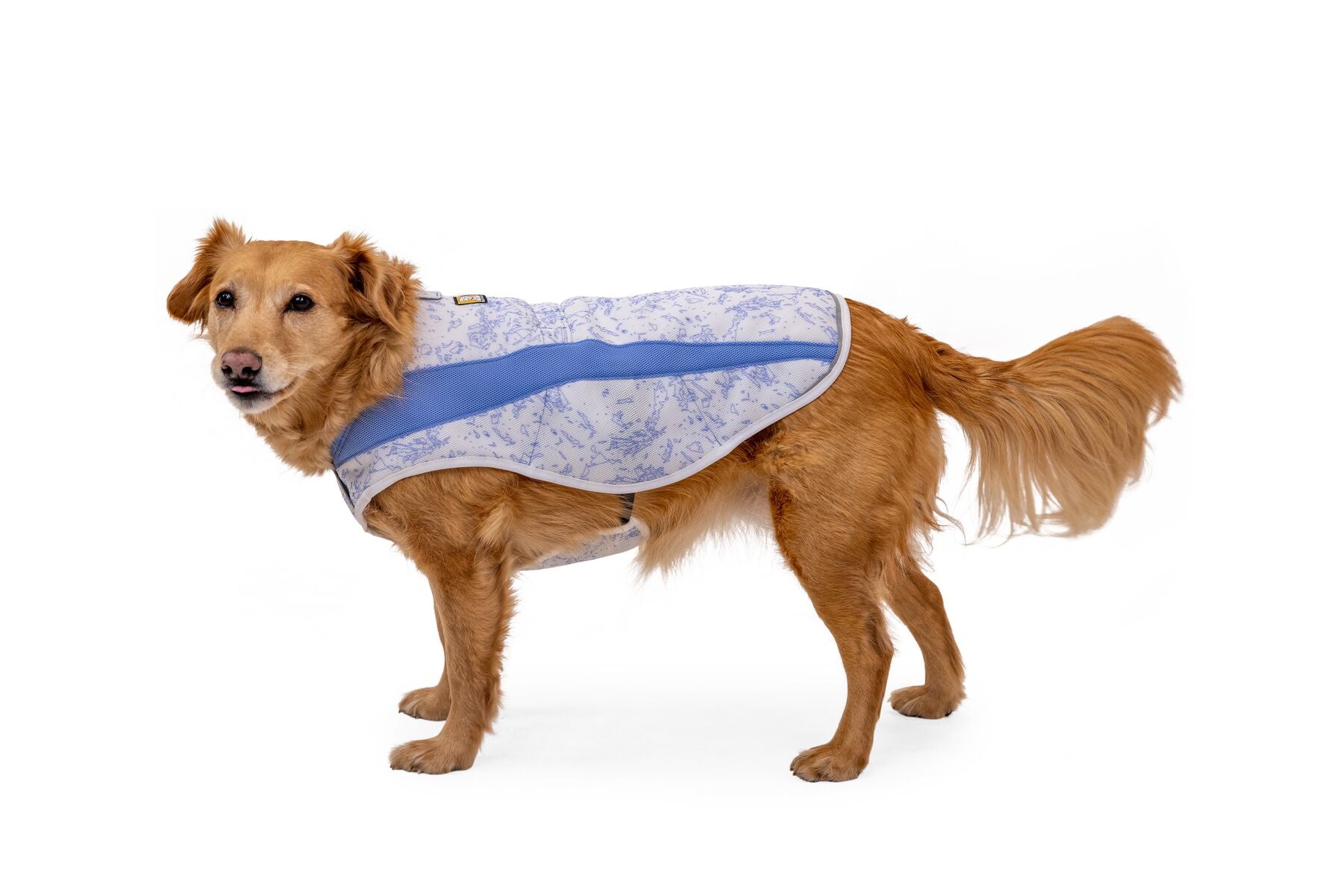 Ruffwear Cooling Dog Vest: Swamp Cooler