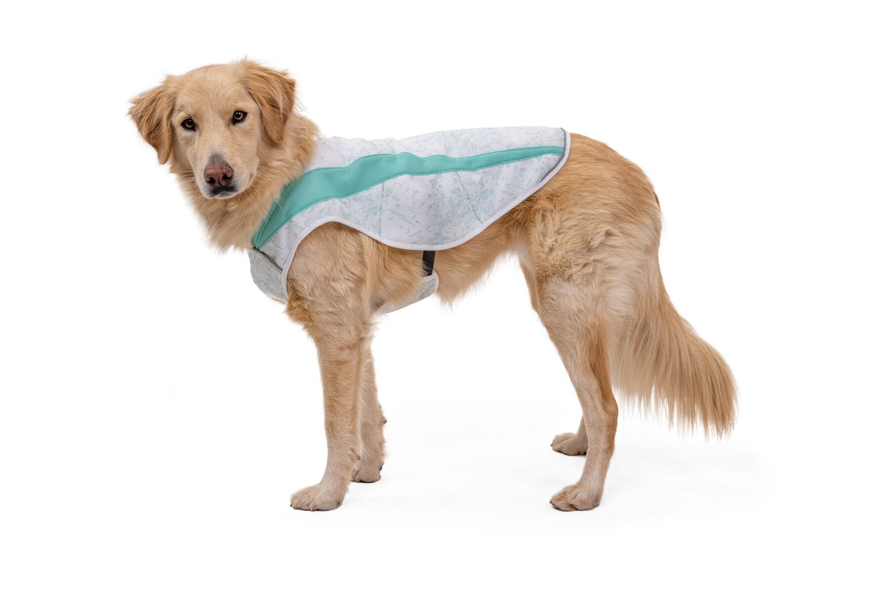 Ruffwear Cooling Dog Vest: Swamp Cooler