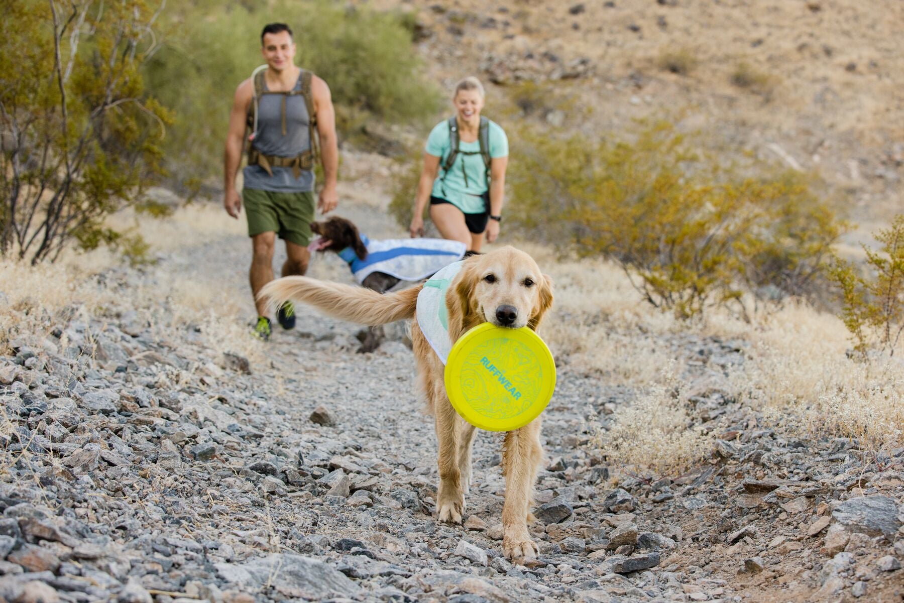 Ruffwear Cooling Dog Vest: Swamp Cooler