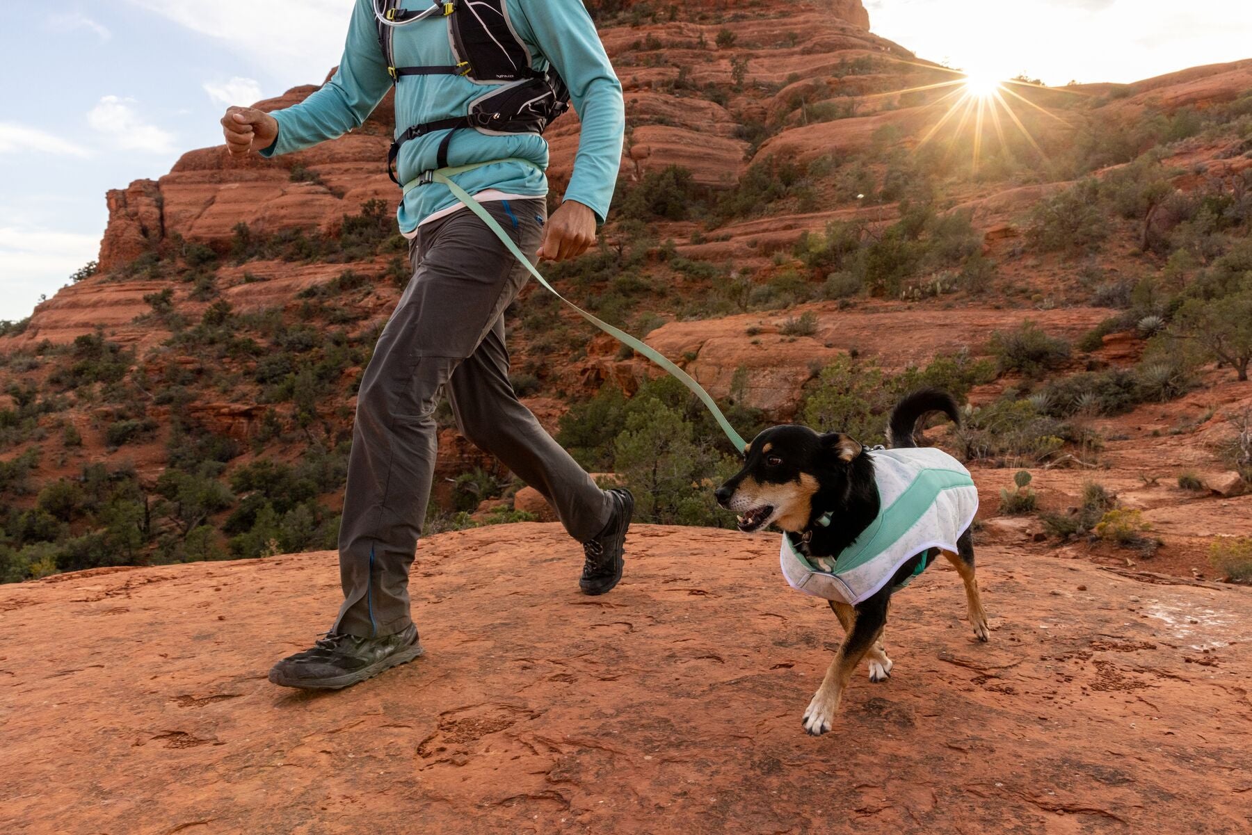 Ruffwear Cooling Dog Vest: Swamp Cooler