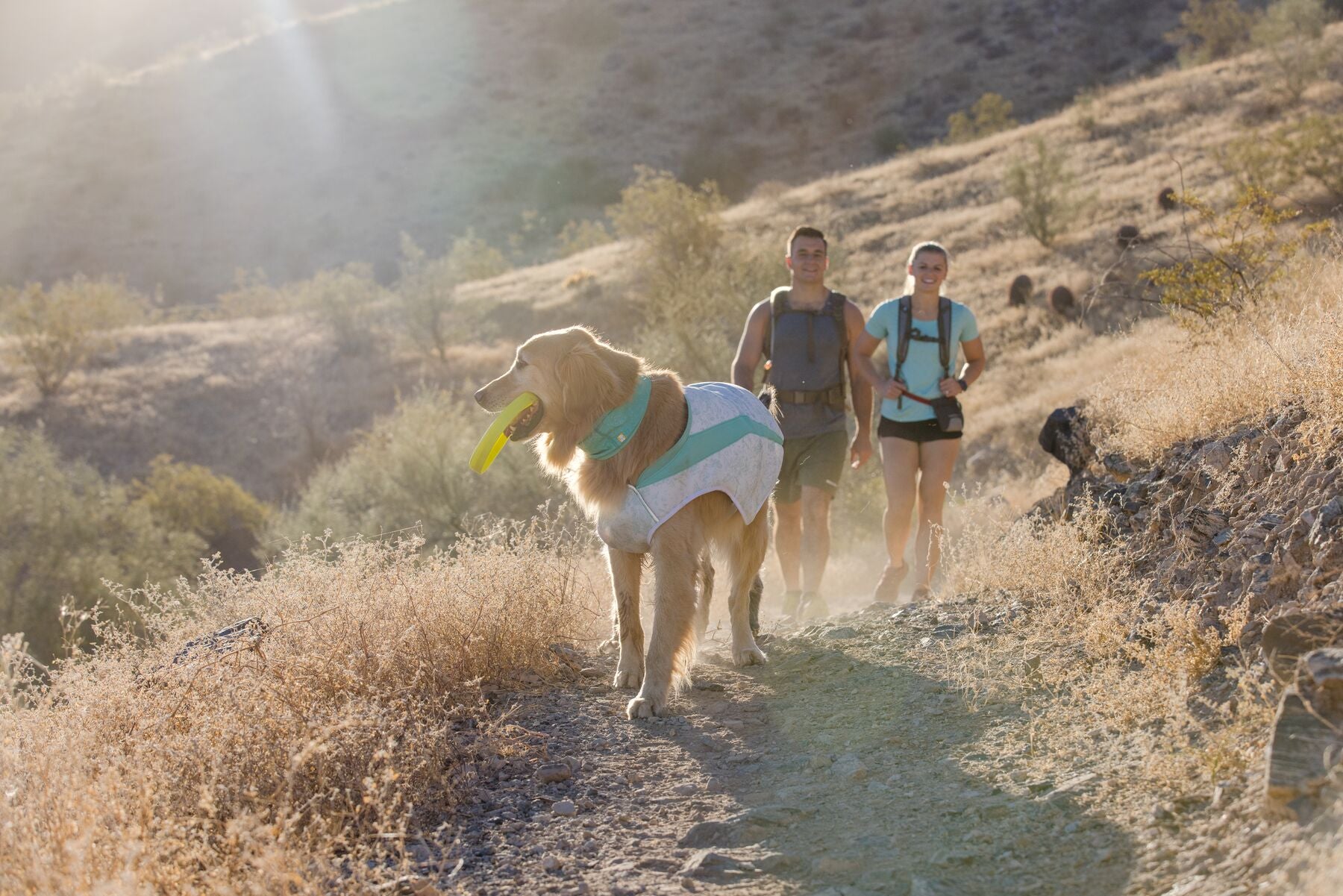 Ruffwear Cooling Dog Vest: Swamp Cooler