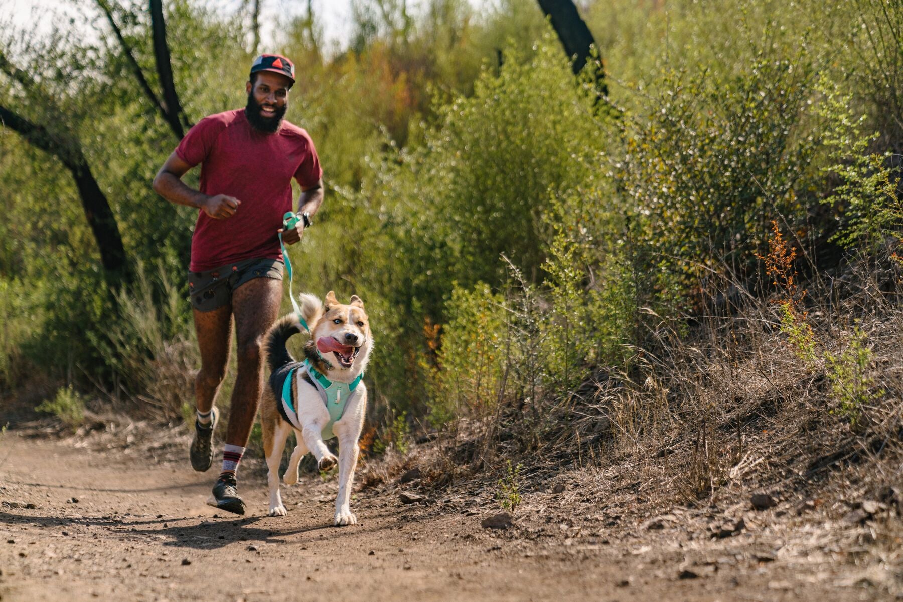 Ruffwear Cooling Dog Vest: Swamp Cooler Zip