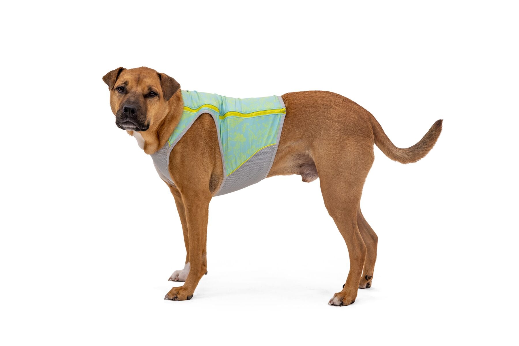 Ruffwear Cooling Dog Vest: Swamp Cooler Zip