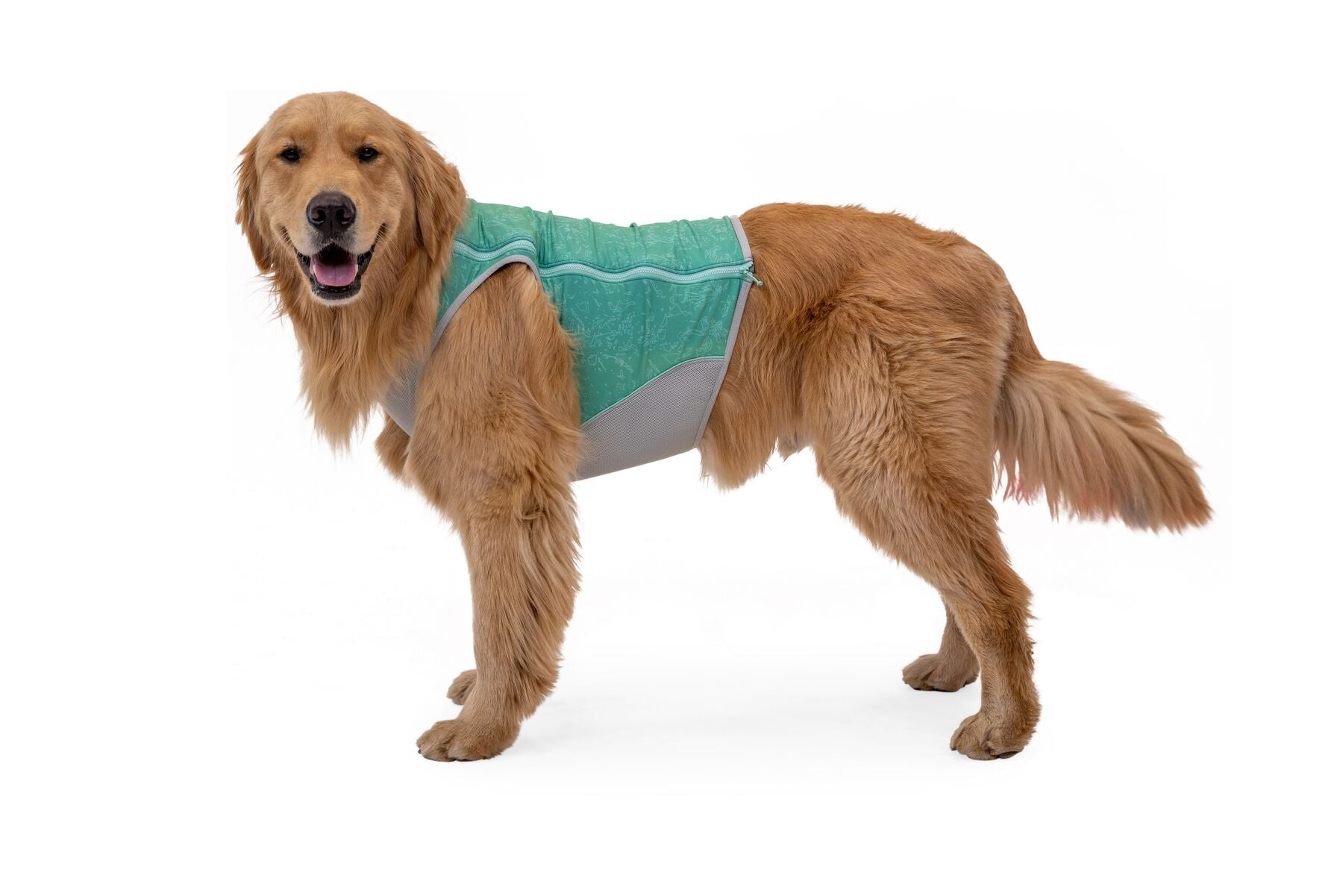 Ruffwear Cooling Dog Vest: Swamp Cooler Zip