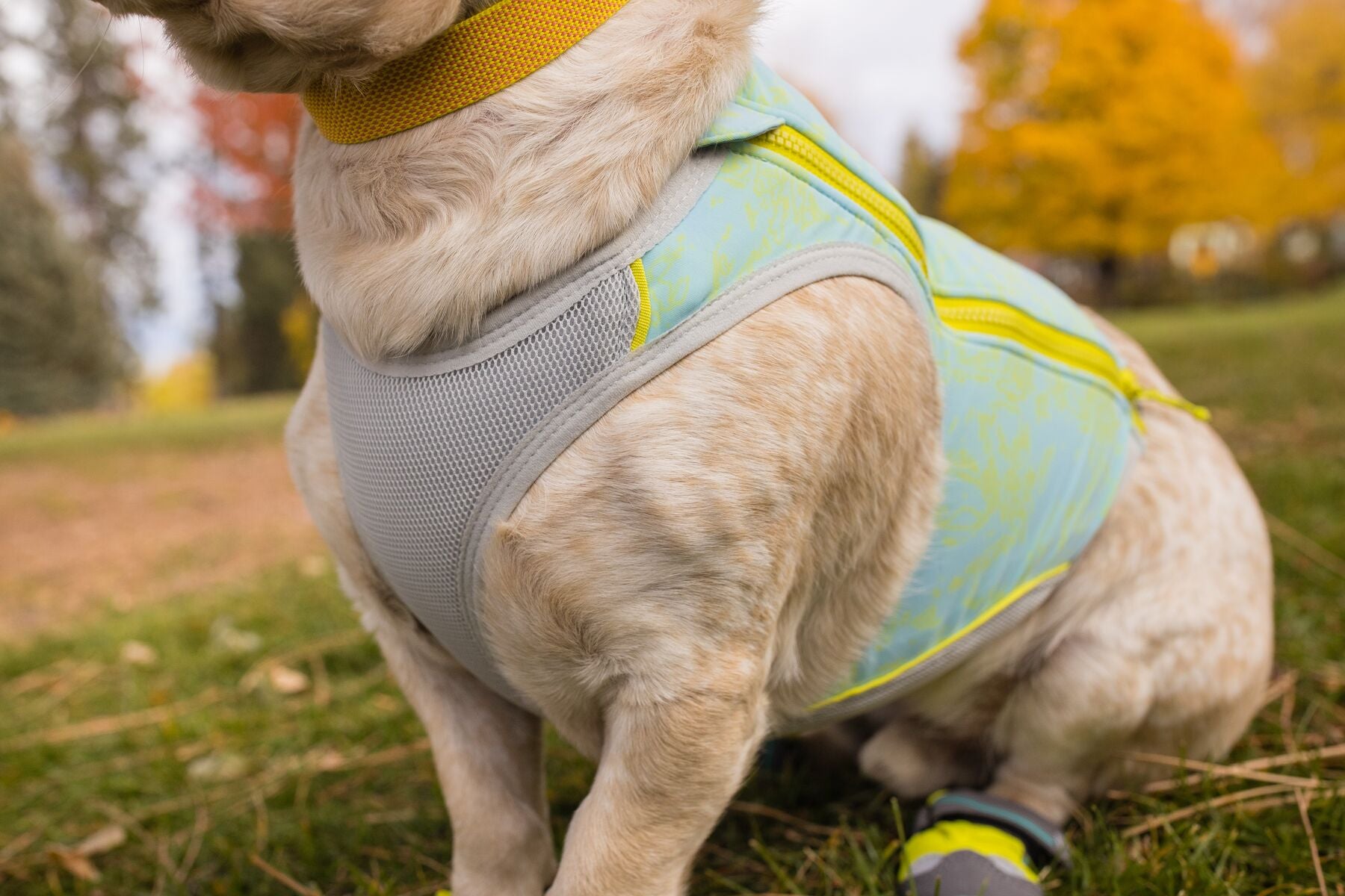 Ruffwear Cooling Dog Vest: Swamp Cooler Zip