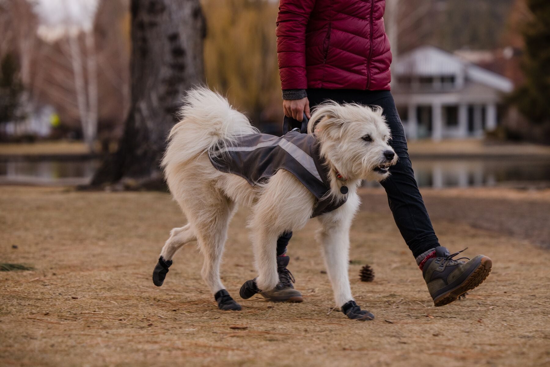 Ruffwear Dog Hi-Vis Jacket: Lumenglow