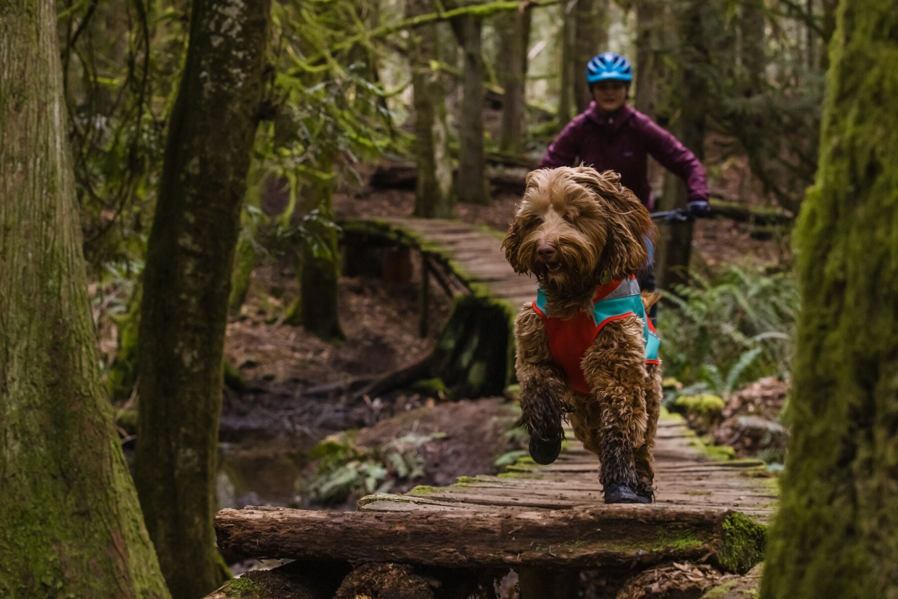 Ruffwear Dog Hi-Vis Jacket: Lumenglow