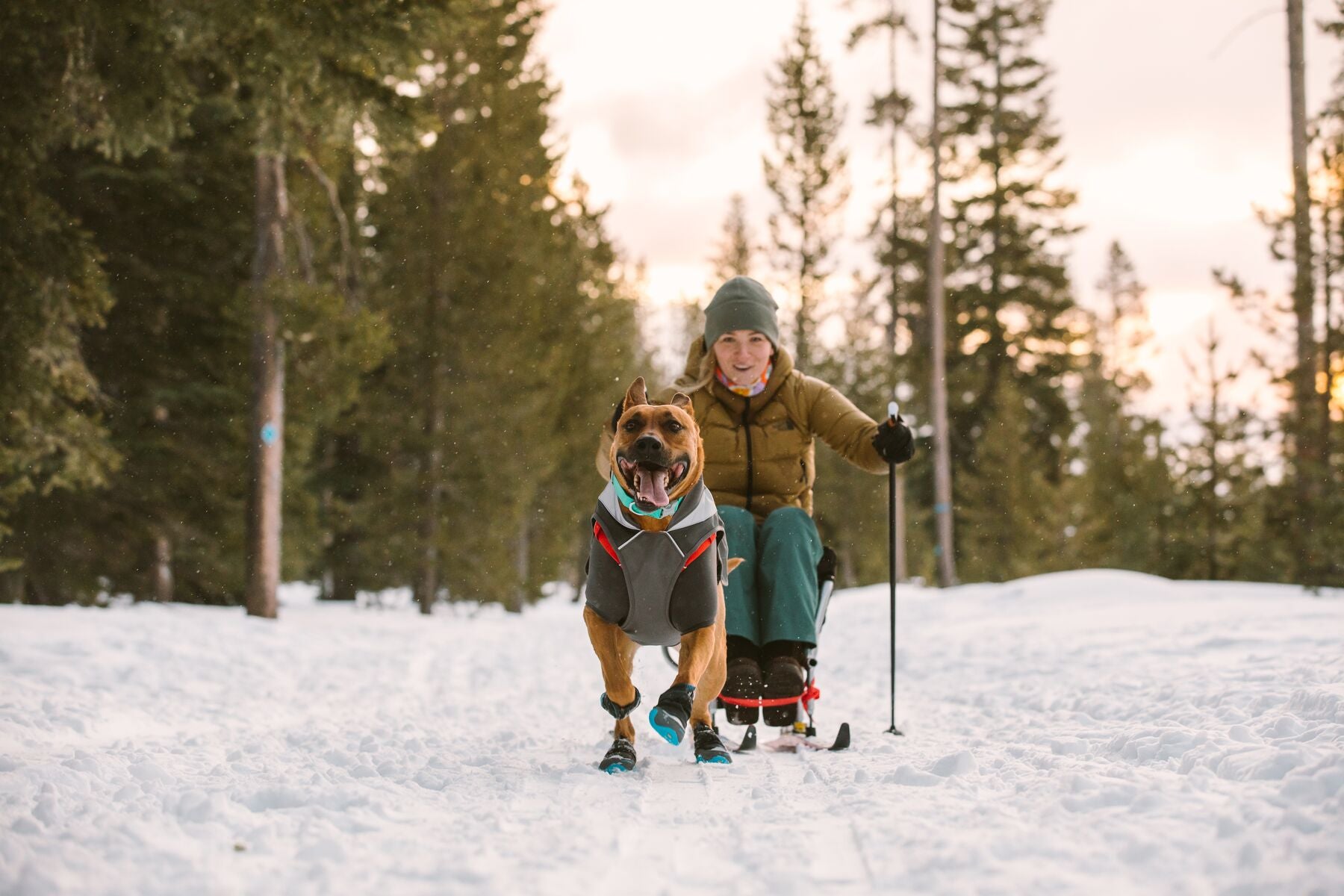 Ruffwear Dog Hi-Vis Jacket: Lumenglow