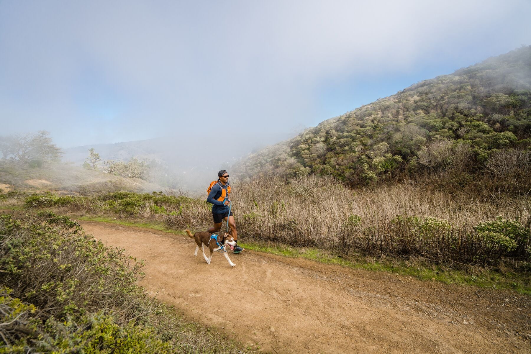 Ruffwear Dog Lightweight Harness: Hi & Light