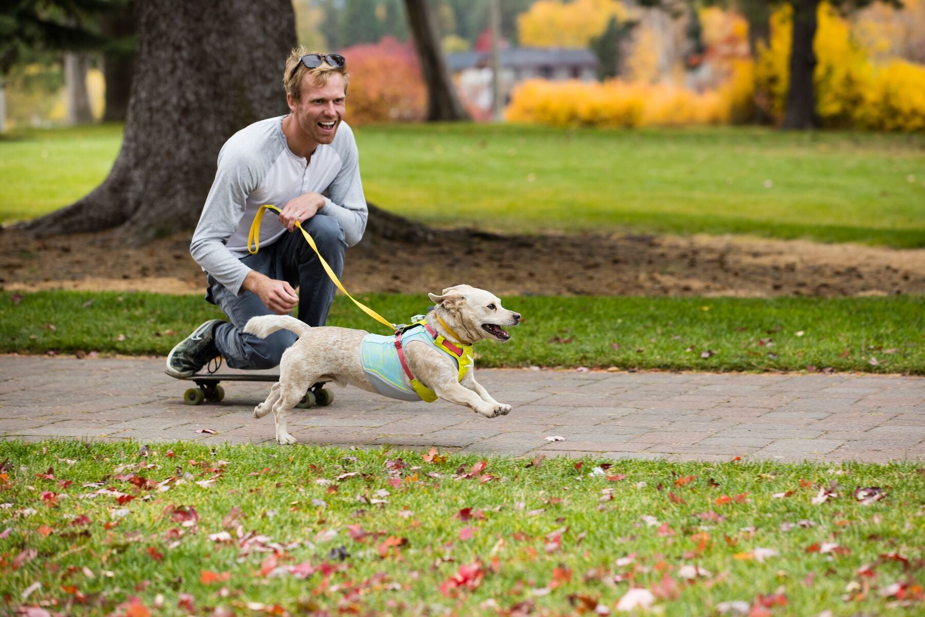 Ruffwear Dog Lightweight Harness: Hi & Light