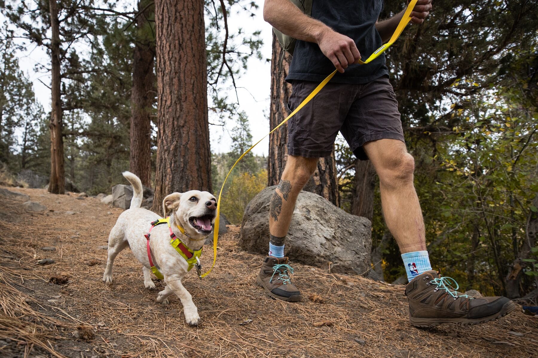 Ruffwear Dog Lightweight Harness: Hi & Light