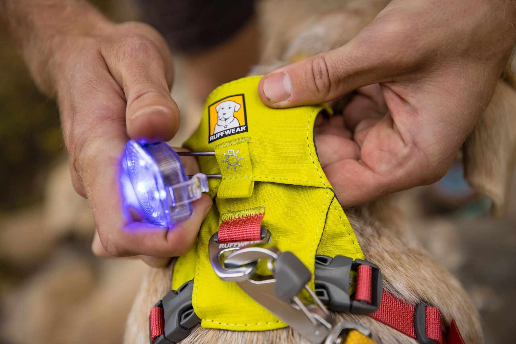 Ruffwear Dog Lightweight Harness: Hi & Light