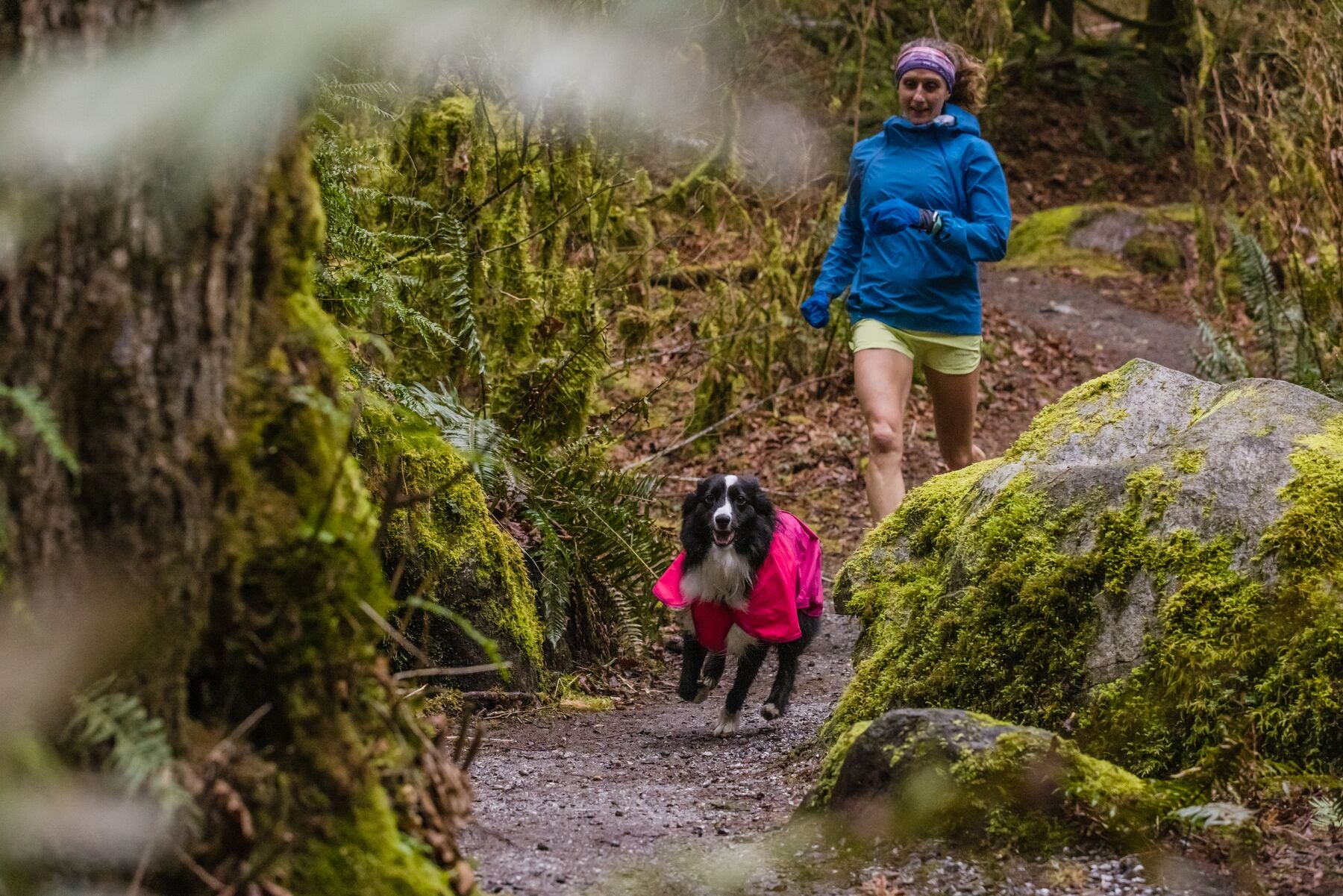 Ruffwear Dog Raincoat: Sun Shower