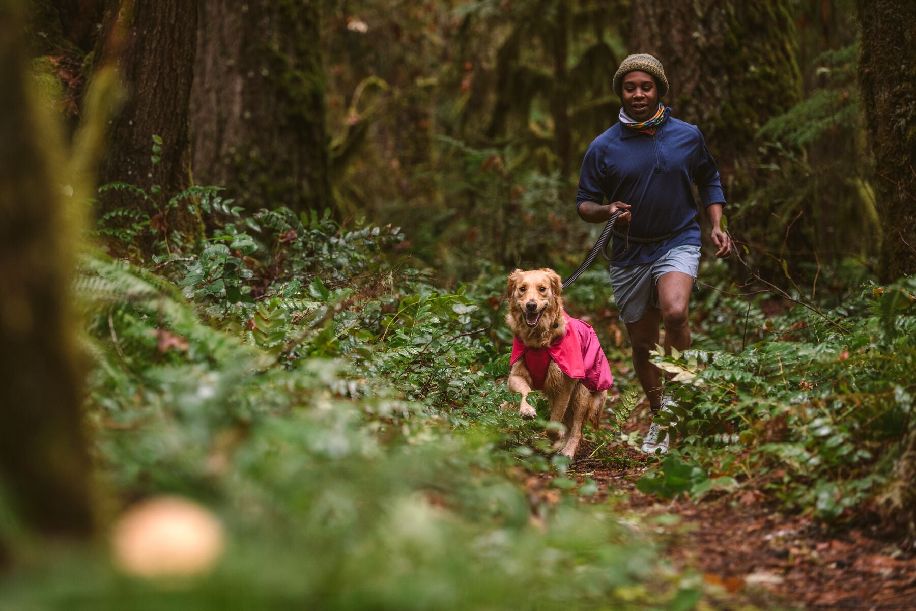 Ruffwear Dog Raincoat: Sun Shower