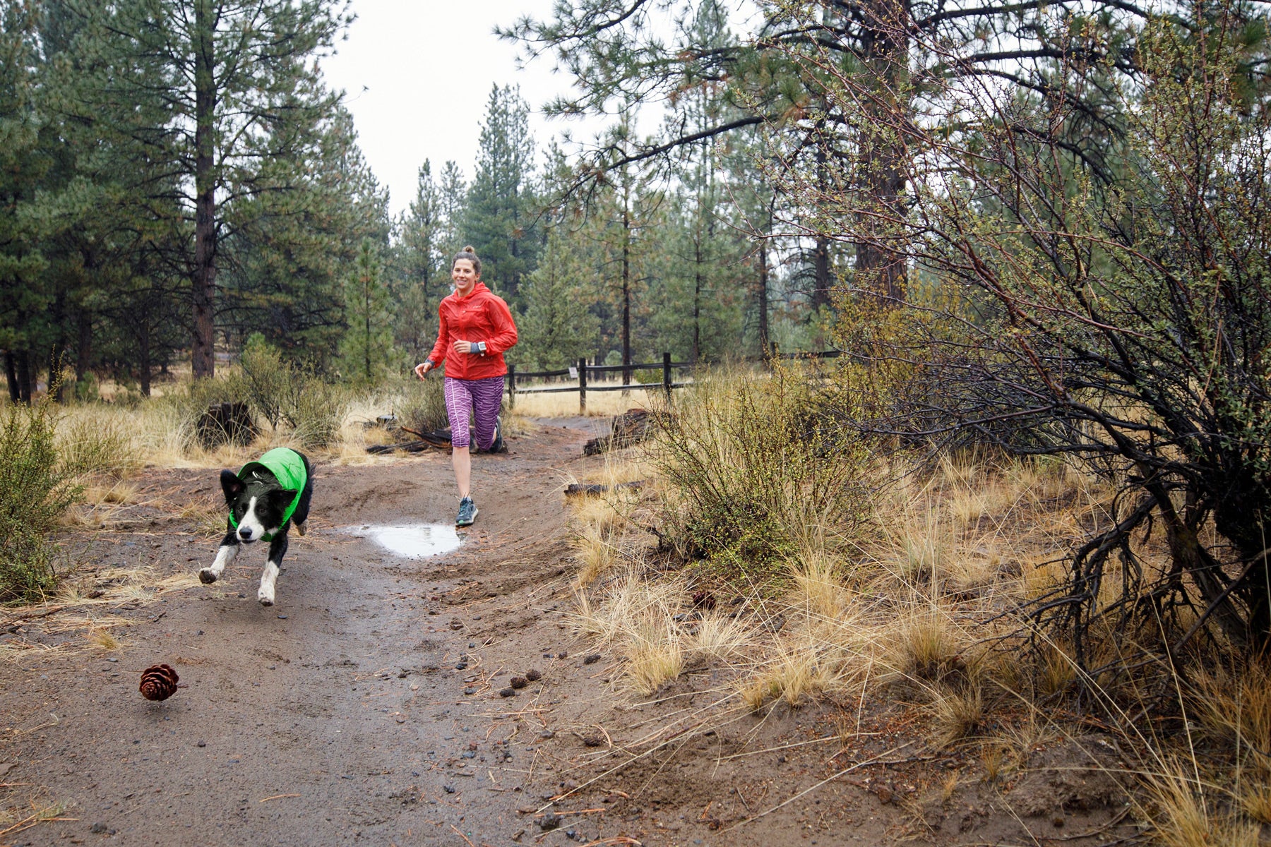 Ruffwear Rain Jacket Sun Shower Green Meadow