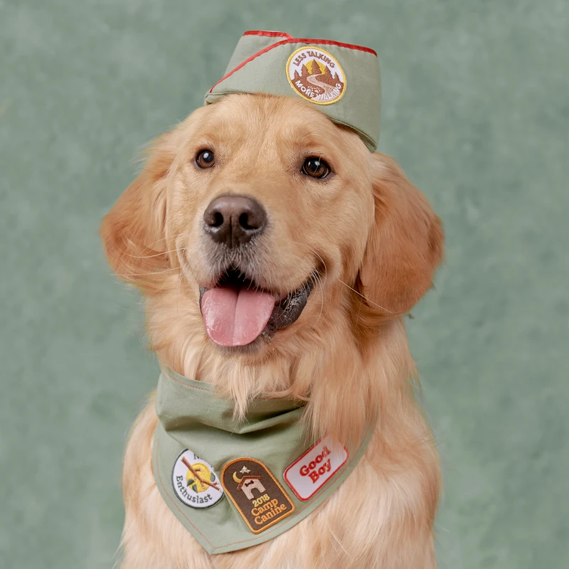 Dog Merit Badges: Good Boy