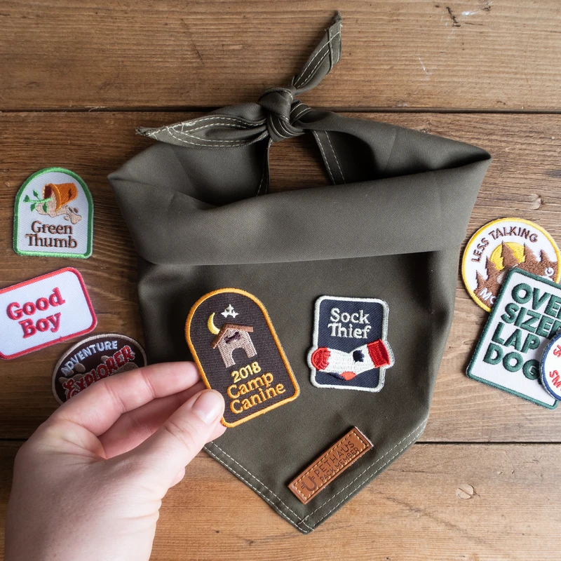 Dog Merit Badges: Camp Canine