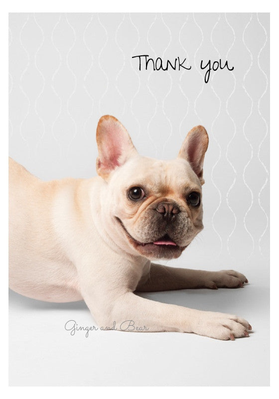 Thank you Notecard box: French Bulldog