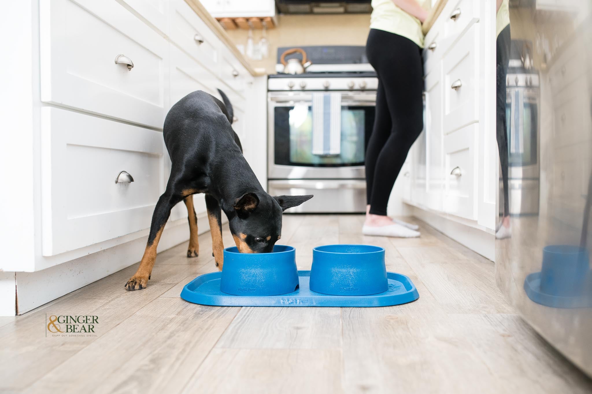 Dog Food and Drink Non-slip Eco Sustainable Bowl: Seaflex Marine