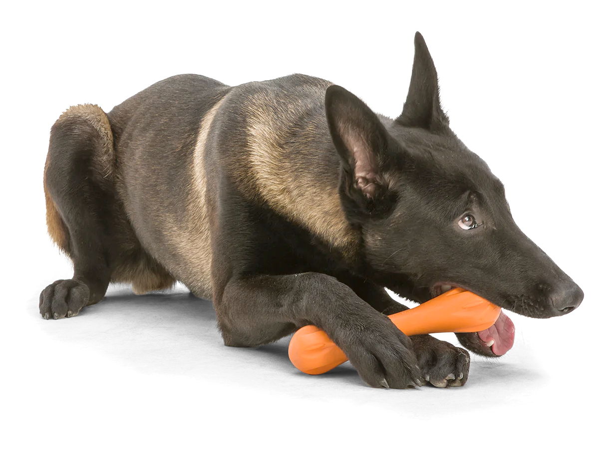 Toss and Fetch Dog toy, Zogoflex Hurley