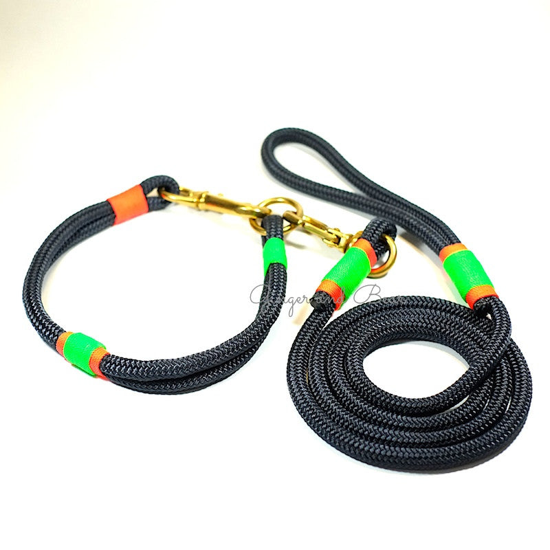 Rugged Hudson Leash: Citrus, Navy