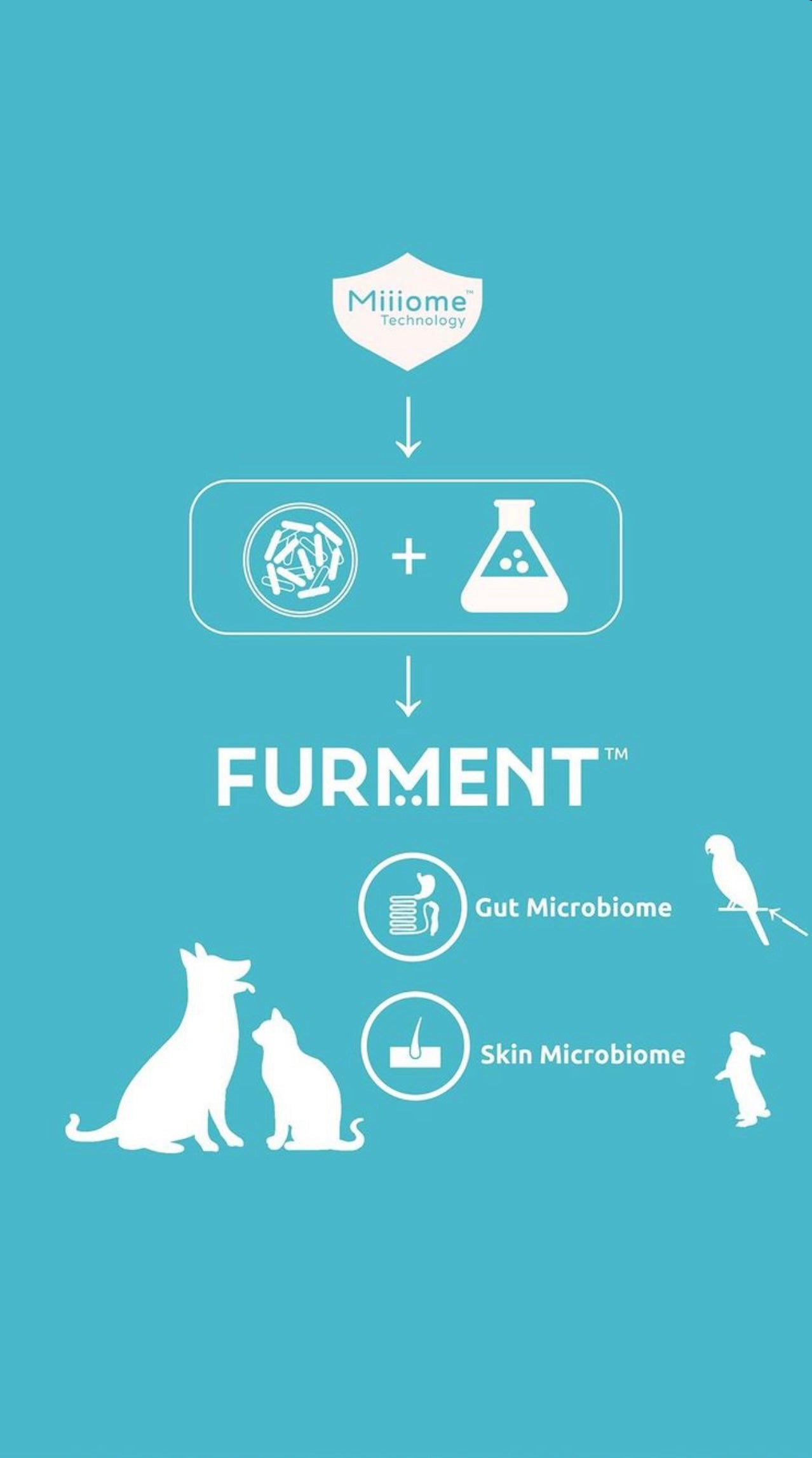 Dog Supplement Gut Support, Furment Skin Spray