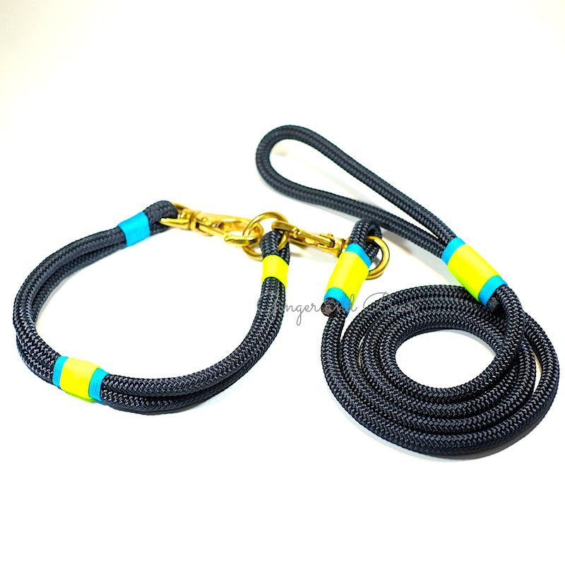 Rugged Hudson Leash: KeyLime, Navy