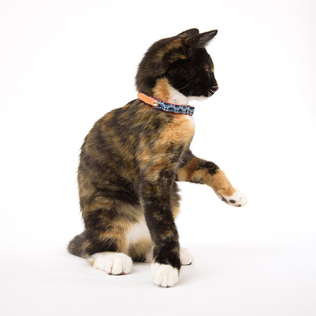 Hiro+Wolf Cat Collar, ShweShwe Navy Circles